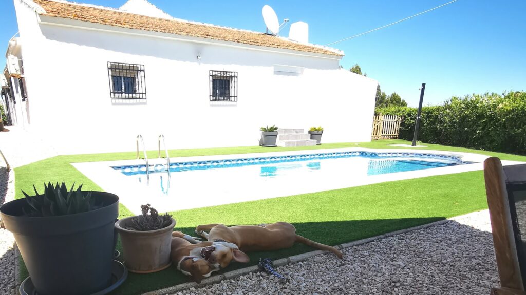 House sit Spain